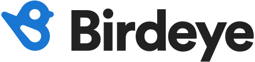 Visit Birdeye homepage
