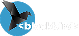 Visit Blackbird Lab homepage