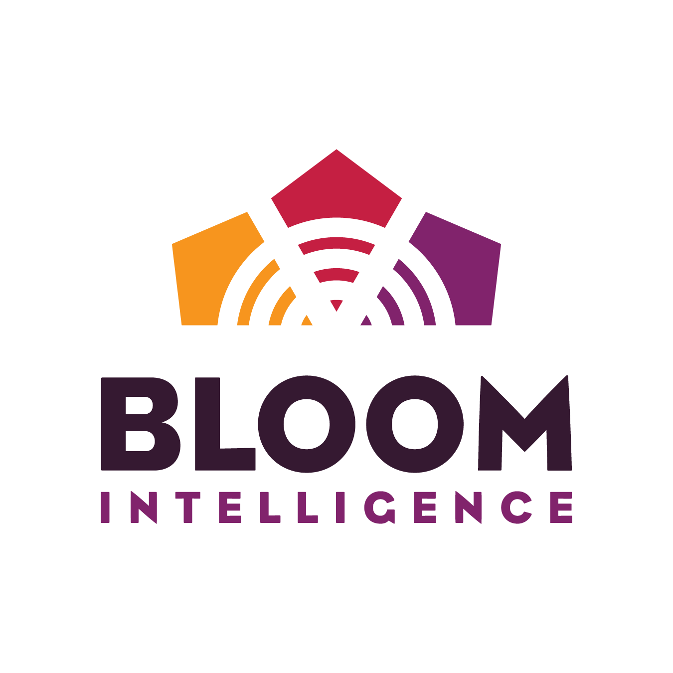 Visit Bloom Intelligence homepage
