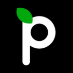 Visit Paerpay homepage