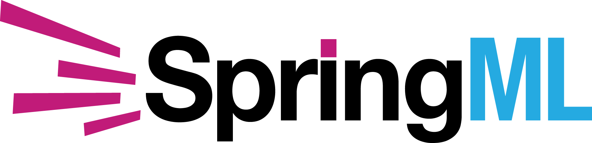 Visit SpringML homepage